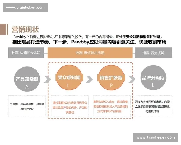 企业新媒体营销策略创新与品牌影响力提升实战指南